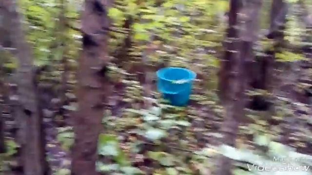 Сезон открыт. Белые грибы. смотреть онлайн