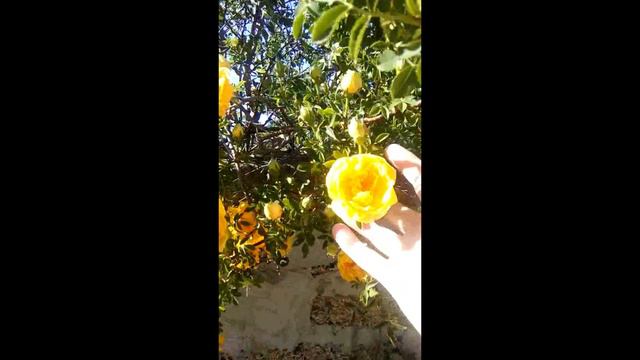 Весна на улице смотреть онлайн