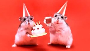 Милые хомячки поздравляют с днем рождения  Анимационная открытка с днем рожджения