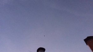 #Pigeons.Как паровать голубей.