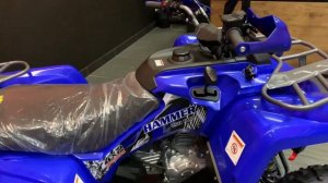 Квадроцикл Bison Hammer 250 PRO