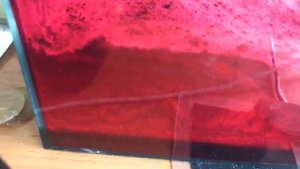 Основная колония муравьёв Carebara Diversa / раздумье...