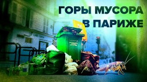 На улицах Парижа из-за забастовки растут горы мусора