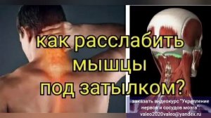 обзор курса Укрепление нервов и сосудов мозга