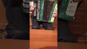 Гармонь "Рябинушка"