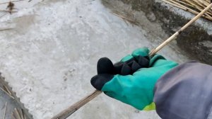 Забор из камыша тростника рогоза СВОИМИ РУКАМИ декор сетки рабицы