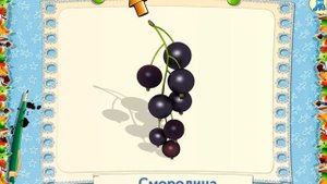 знакомство с овощами и фруктами