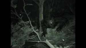 Бегство от лешего (коми-зырянская сказка)