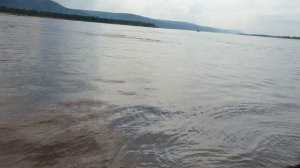 Ловля Жереха на Волге летом в Августе днём рыбалка - Приманка поппер поклёвка вываживание Fisher Wa