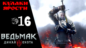 Прохождение Ведьмак 3 Дикая охота ⓰ Кулаки Ярости Новиград, Доспехи Школы Кота Witcher 3 Wild Hunt