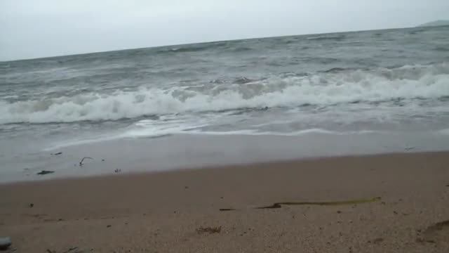 Бухта Табунная. Море, много моря! Японское море.