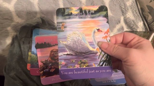Kid Friendly Oracle Deck ~ Children’s spirit animal oracle deck flip thru смотреть онлайн