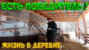 РОЗЫГРЫШ РОБОТА-ПЫЛЕСОСА ! Свет и вода в овчарню ! [Жизнь в деревне]