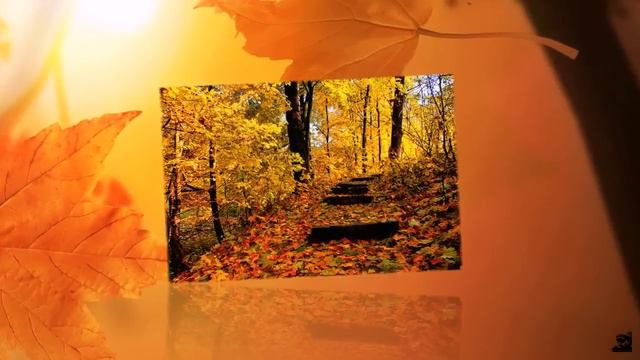 Владимир Захаров Костры смотреть онлайн