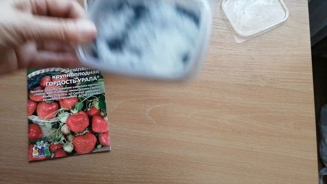 #сеемземляникунаснег Сеем семена земляники на снег и как собрать семена земляники.