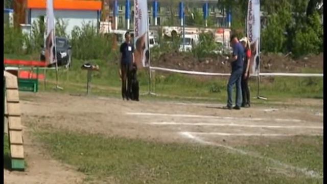 Шигаев Роман и ризеншнауцер Банзай. ОКД. 1 место. Соревнования по дрессировке. Самара, 22 мая 2011. смотреть онлайн