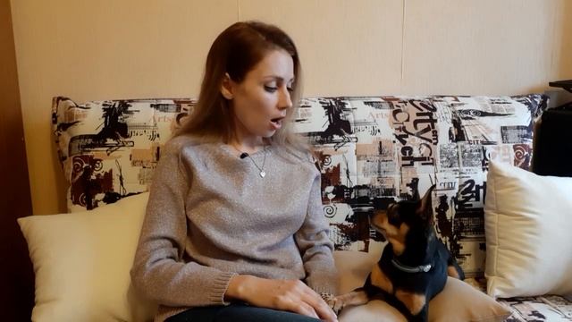 Что делать с агрессией той терьера? смотреть онлайн