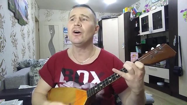 Кавер  на БАЛАЛАЙКЕ  Сектор газа " Бомж"