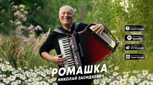 Премьера песни! Николай Засидкевич - Ромашка (NEW 2023)