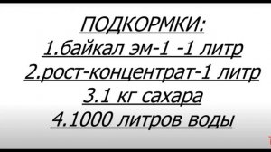 СХЕМА ПОДКОРМОК ХРИЗАНТЕМЫ ДЛЯ ОТЛИЧНОГО РЕЗУЛЬТАТА.