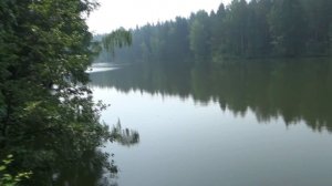 Поиск золота в ручьях! Лето 2016 года