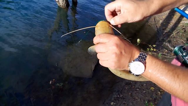 Рыбалка в Испании. СОМик. смотреть онлайн