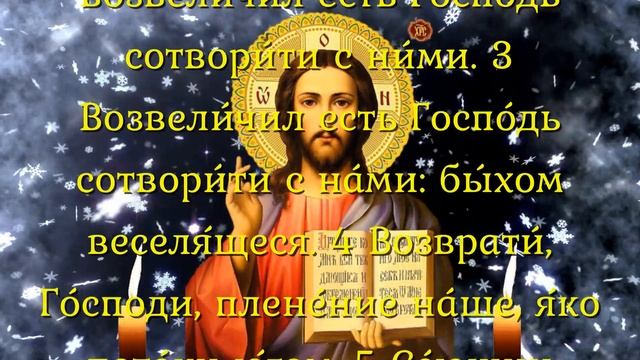 УСПЕЙ ПРОЧЕСТЬ ДО ЗАРИ- после этих слов деньги польются рекой и жизнь наладится! Читай скорее! смотреть онлайн