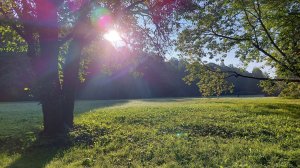 "ШИЛЛЕР В ПИТЕРЕ"... (музыкант)... (Фото Лилии Дауровой (СПб), музыка - Schiller (Германия))You)