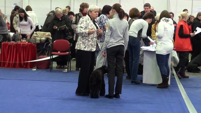 Муаровая Роскошь Джоя смотреть онлайн