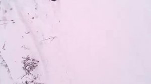 как надо делать сальто(смешно) смотреть всем