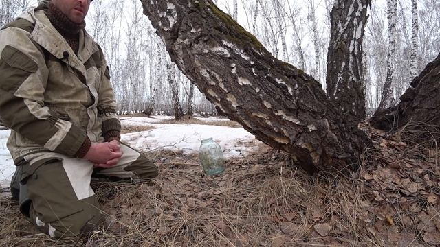 Весна 2021 | Березовый сок | Не город TV смотреть онлайн