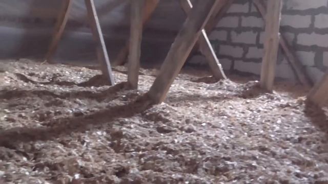 утепление опилками пола и потолка мансарды часть - 1  insulation of sawdust floor - 1