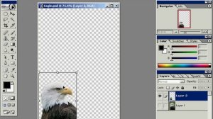 Photoshop Free Transform and Rotate tools