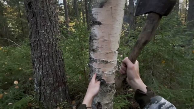 ПОХОД В ТАЙГУ. Сделал Костер НОДЬЯ из Трех Бревен. Готовим еду на костре. КЕМПИНГ