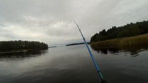 Рыбалка на Финском заливе | Выборгский залив | Троллинг