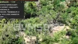 НАШИ БРАТЦЫ РАБОТАЮТ??????