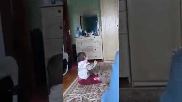 Пдм