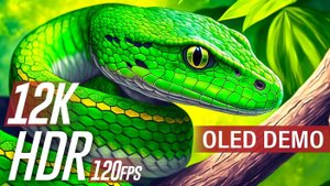Цветная съемка (OLED DEMO) Dolby Vision HDR 12K 120fps