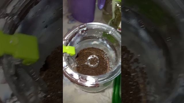 Завариваем чай ☕ в Гунфу чайнике