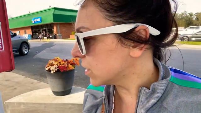 Дневник Переезда. Vlog #16: Welcome to Florida! смотреть онлайн