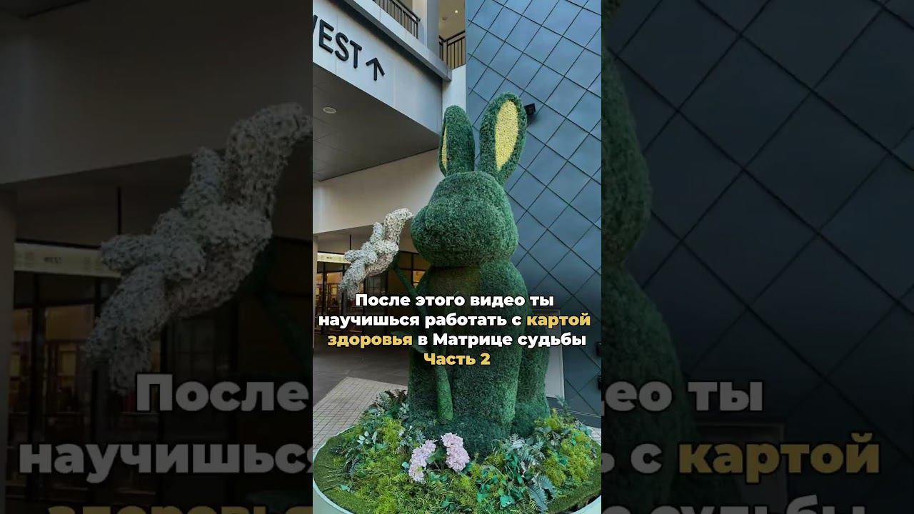 После этого видео ты научишься работать с картой здоровья✨часть 2 смотреть онлайн