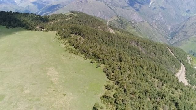 Тлярата  поляна Цамаури