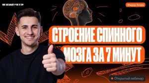 Строение спинного мозга за 7 минут | ОГЭ по биологии | 100балльный