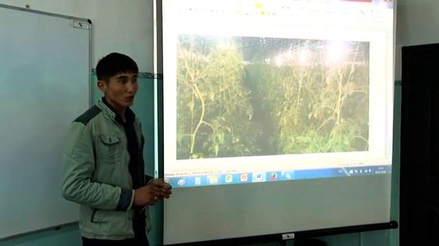 Урок по строительству теплицы. Куноскананын курулушу боюнча сабак.