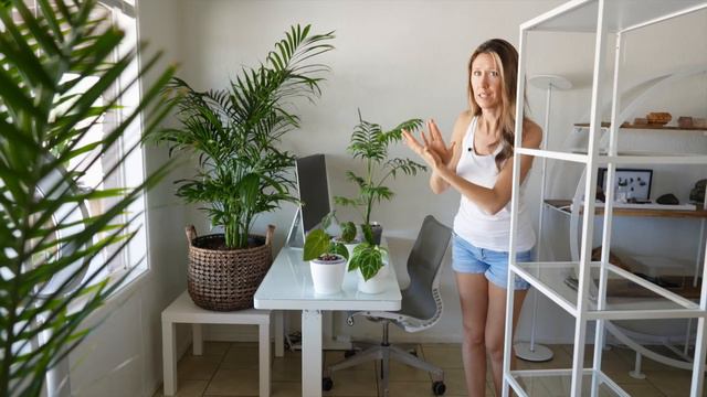 Full Day of Plant Chores + Repot With Me | Low Light Palms смотреть онлайн