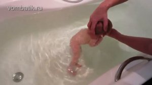 Купание грудного ребенка в первые недели жизни.