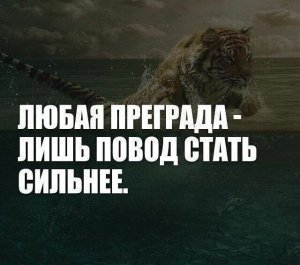 Правила жизни. ч. 4