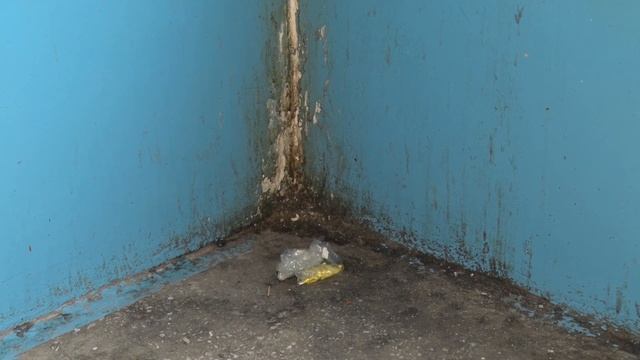 Акция «Чистый подъезд, не там, где убирают, а там, где не сорят» смотреть онлайн