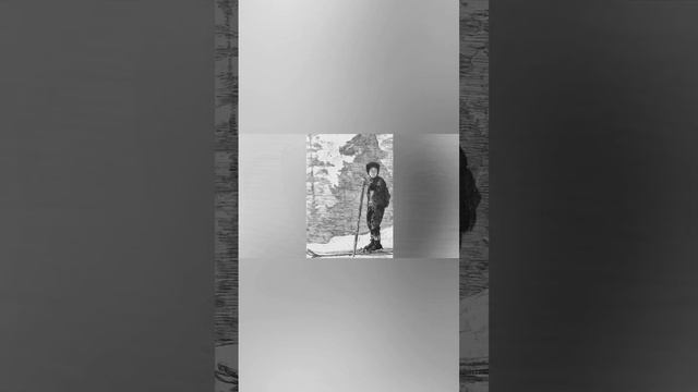 Стих Волк... #комикс#стих#история#сказка# смотреть онлайн