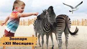 ★ Зоопарк 12 месяцев Демидов Киев Happy Kids At The "12 Month" Kiev Zoo